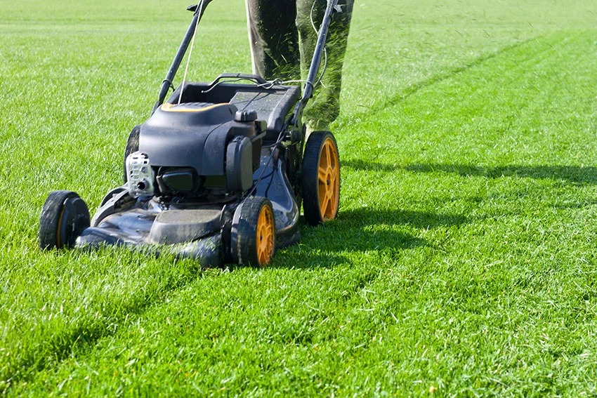 Gartenpflege Helfrich Objektpflege